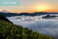 Film_Tea_Top-2048x1356