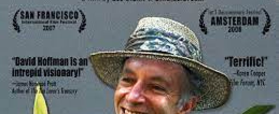 all in this tea film