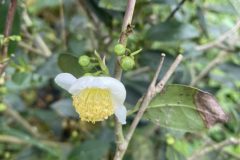 z3584757141870_eabb564b429e465ed88bd84b90602c71 - Copy