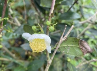 z3584757141870_eabb564b429e465ed88bd84b90602c71 - Copy