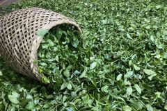 z3584757170312_5faffa3e37b5164be33a79ea0e4cdfa4 - Copy