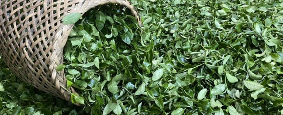 z3584757170312_5faffa3e37b5164be33a79ea0e4cdfa4 - Copy