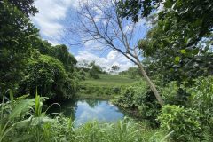 z3584757211231_e3e23668f2452dde4886b81229d0018c - Copy