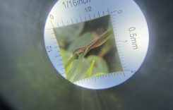 z3584757226313_6d3fa1188b1283a38d61bdef1b20b137 (1) - Copy