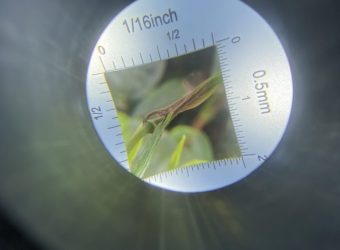 z3584757226313_6d3fa1188b1283a38d61bdef1b20b137 (1) - Copy