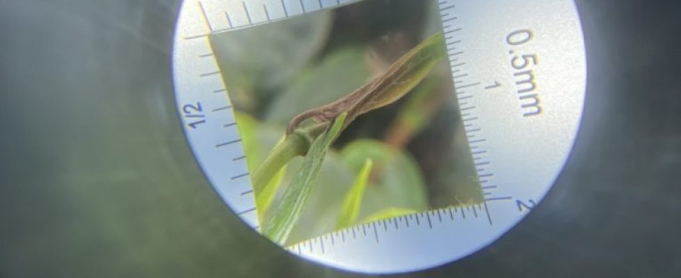 z3584757226313_6d3fa1188b1283a38d61bdef1b20b137 (1) - Copy